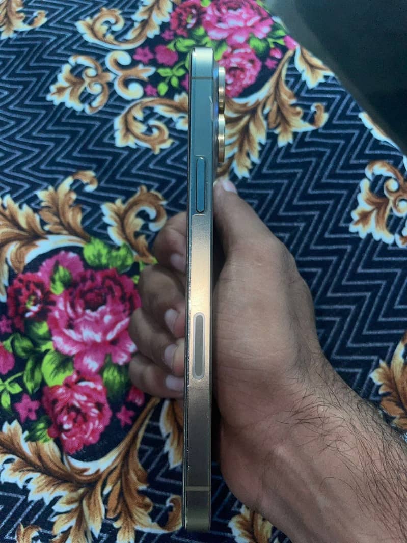 Apple iPhone 13 Pro Max 1