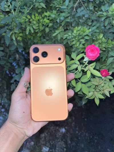 Apple iPhone 17 Pro Max