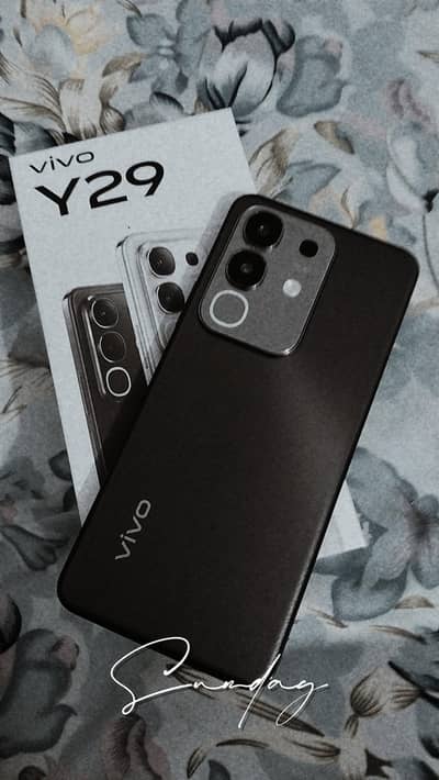 Vivo Y29