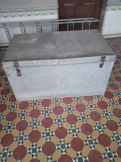 PATI TRUNK