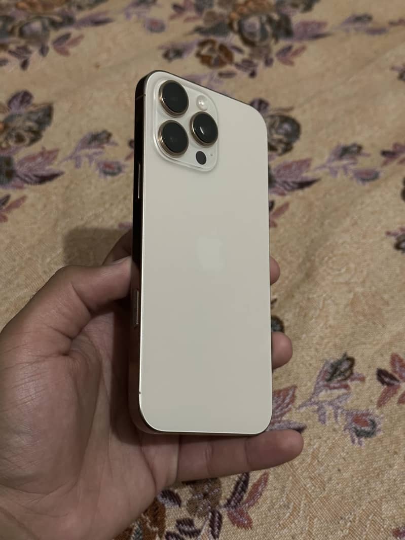 Apple iPhone 16 Pro Max 1