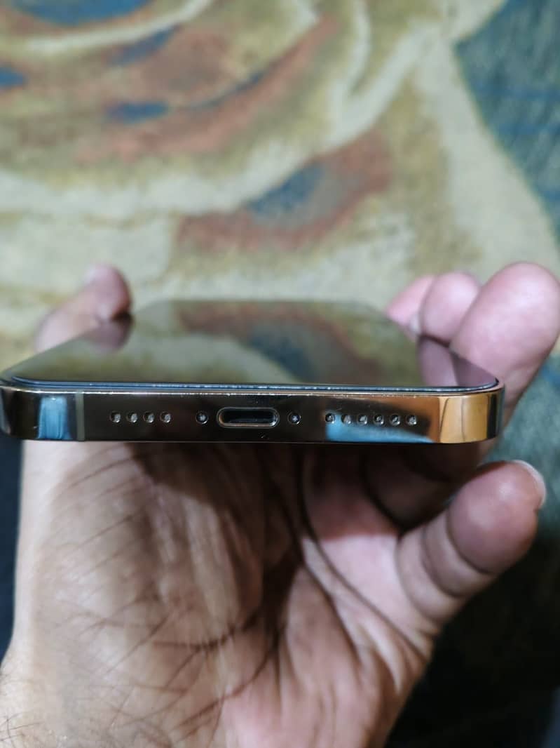 Apple iPhone 13 Pro Max 2