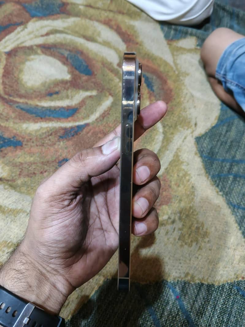 Apple iPhone 13 Pro Max 3
