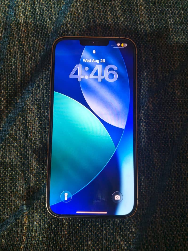 Apple iPhone 13 Pro Max 4