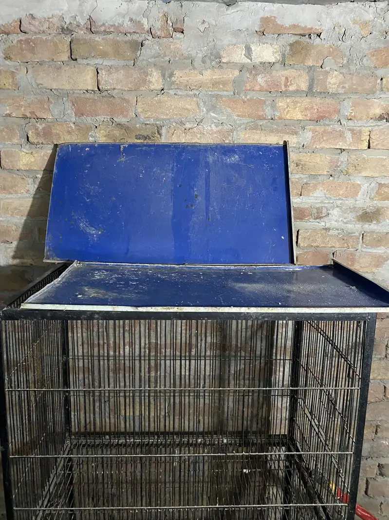 iron cage for sale! — photo 2