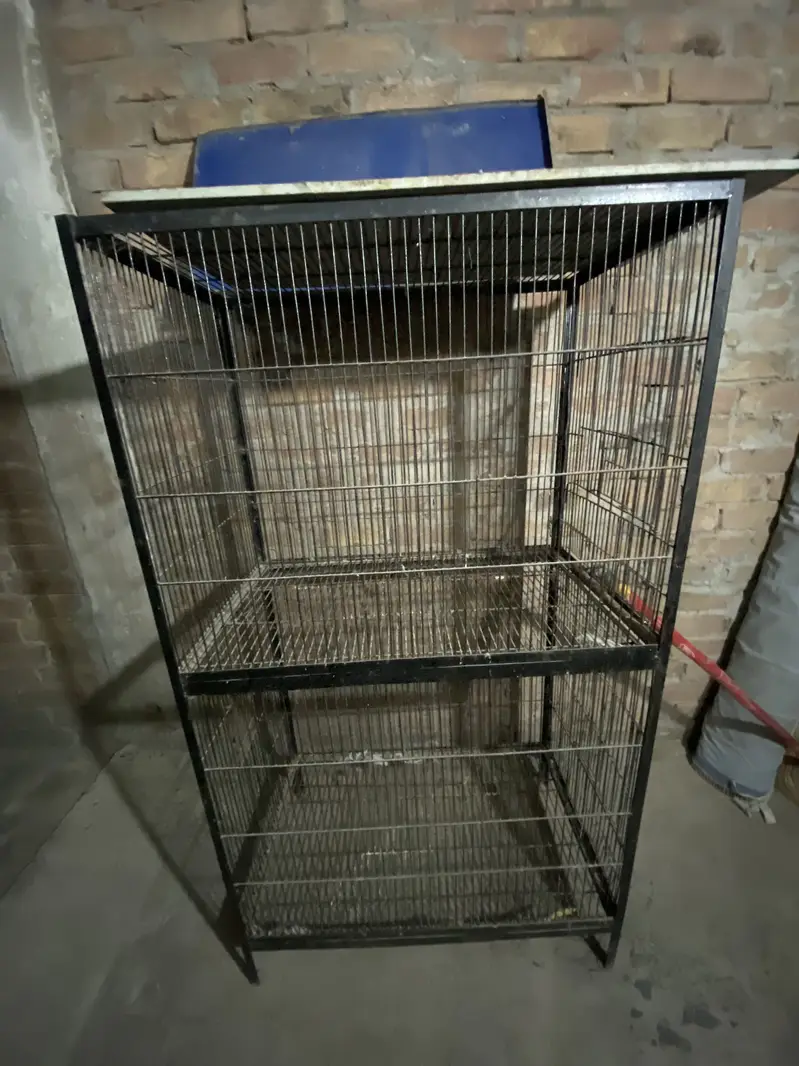 iron cage for sale! — photo 4