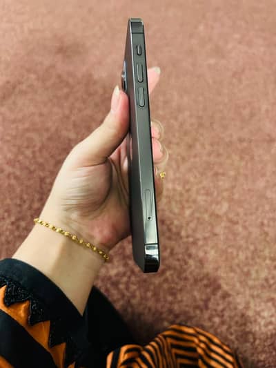 Apple iPhone 12 Pro