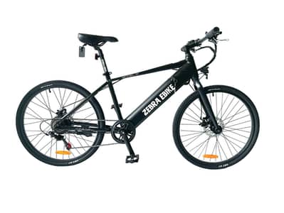 The Zebra Ebike Model M037