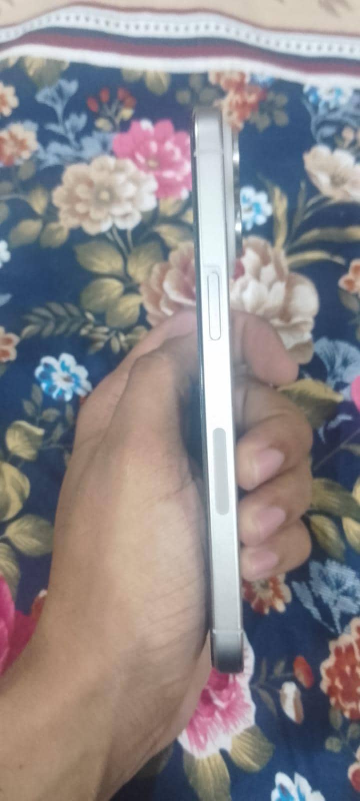 Apple iPhone 15 Pro Max 4
