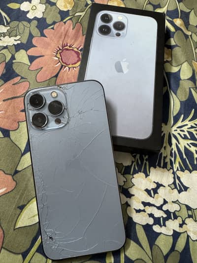 Apple iPhone 13 Pro Max