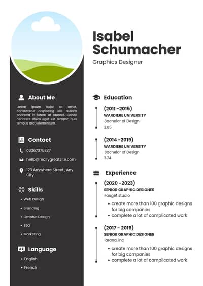Professional CV Writing Service - 30 Min Delivery Rs. 250