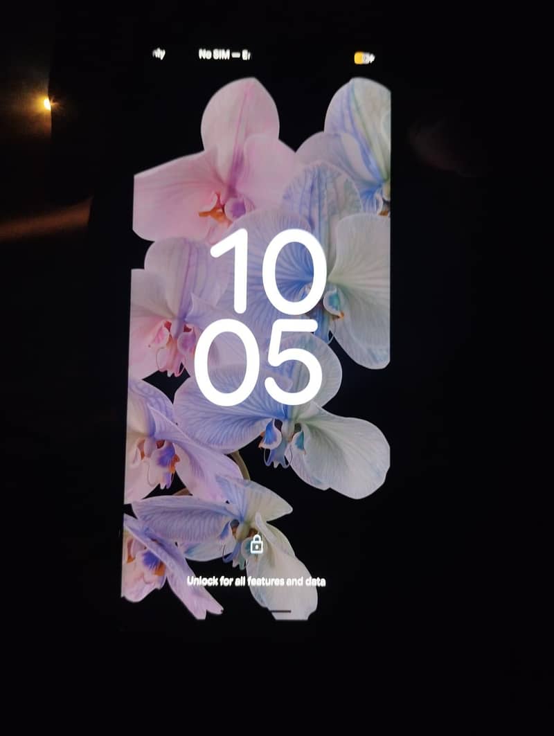 Google Pixel 6 Pro 1