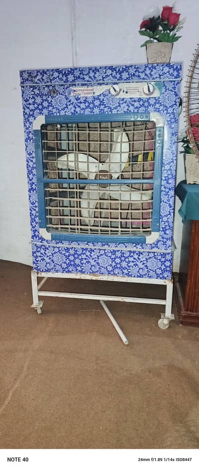 solar cooler