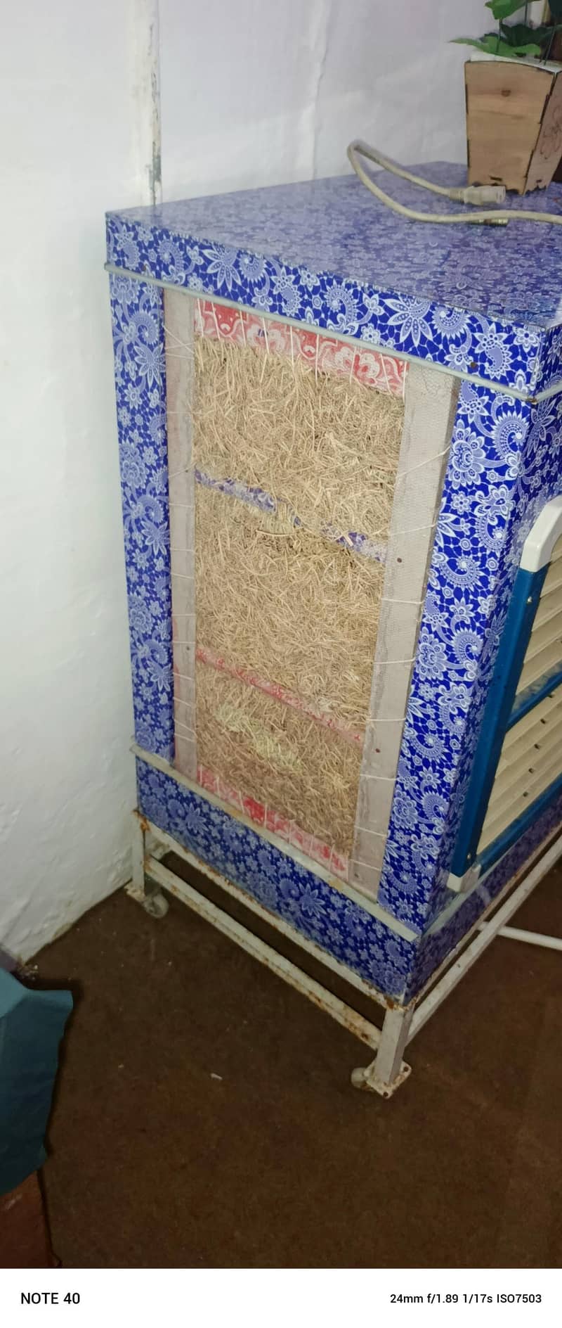 solar cooler 1