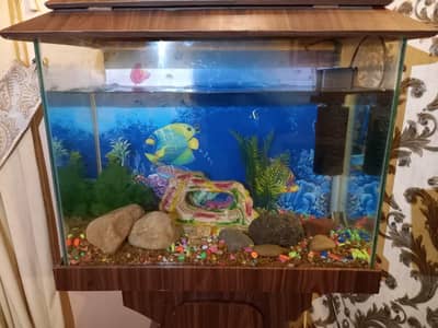 Fish Aquarium Tank