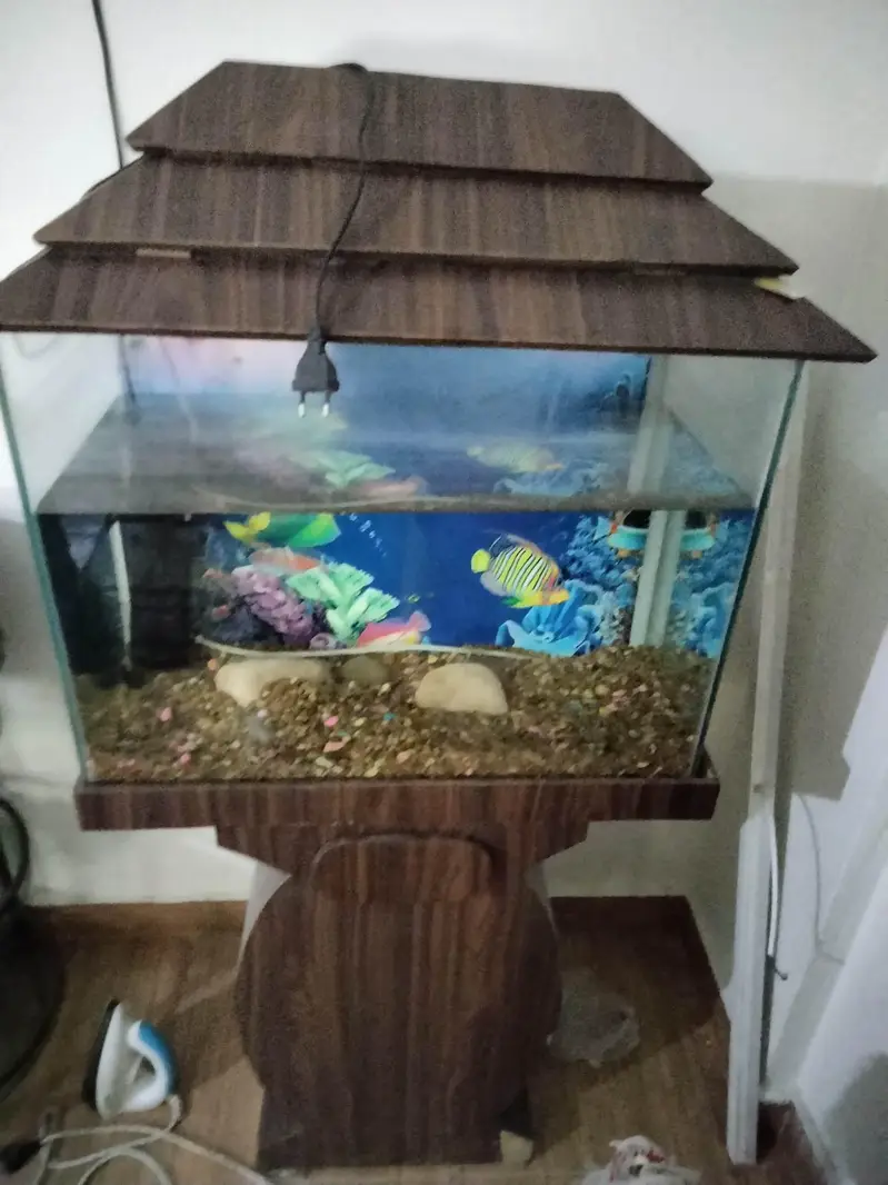 Fish Aquarium Tank — photo 2