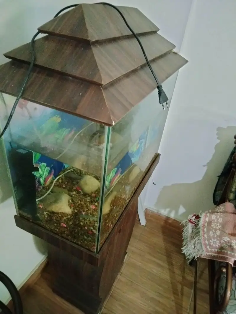 Fish Aquarium Tank — photo 3