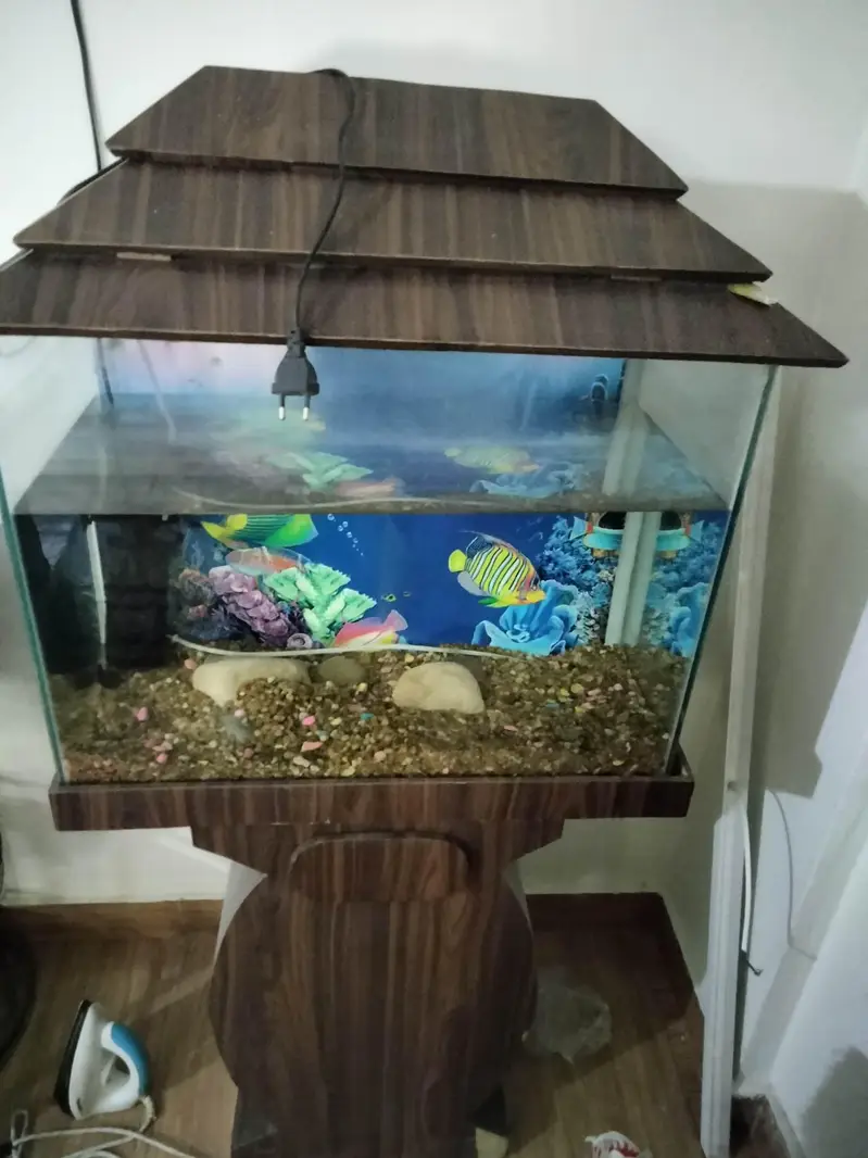 Fish Aquarium Tank — photo 4