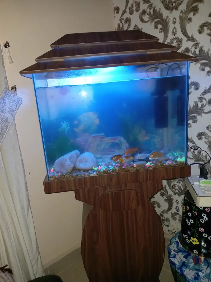 Fish Aquarium Tank — photo 6