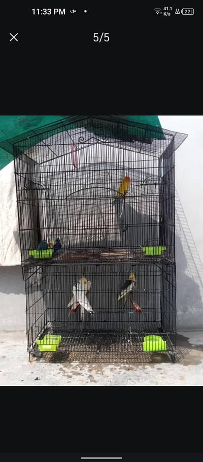 only cage for sale