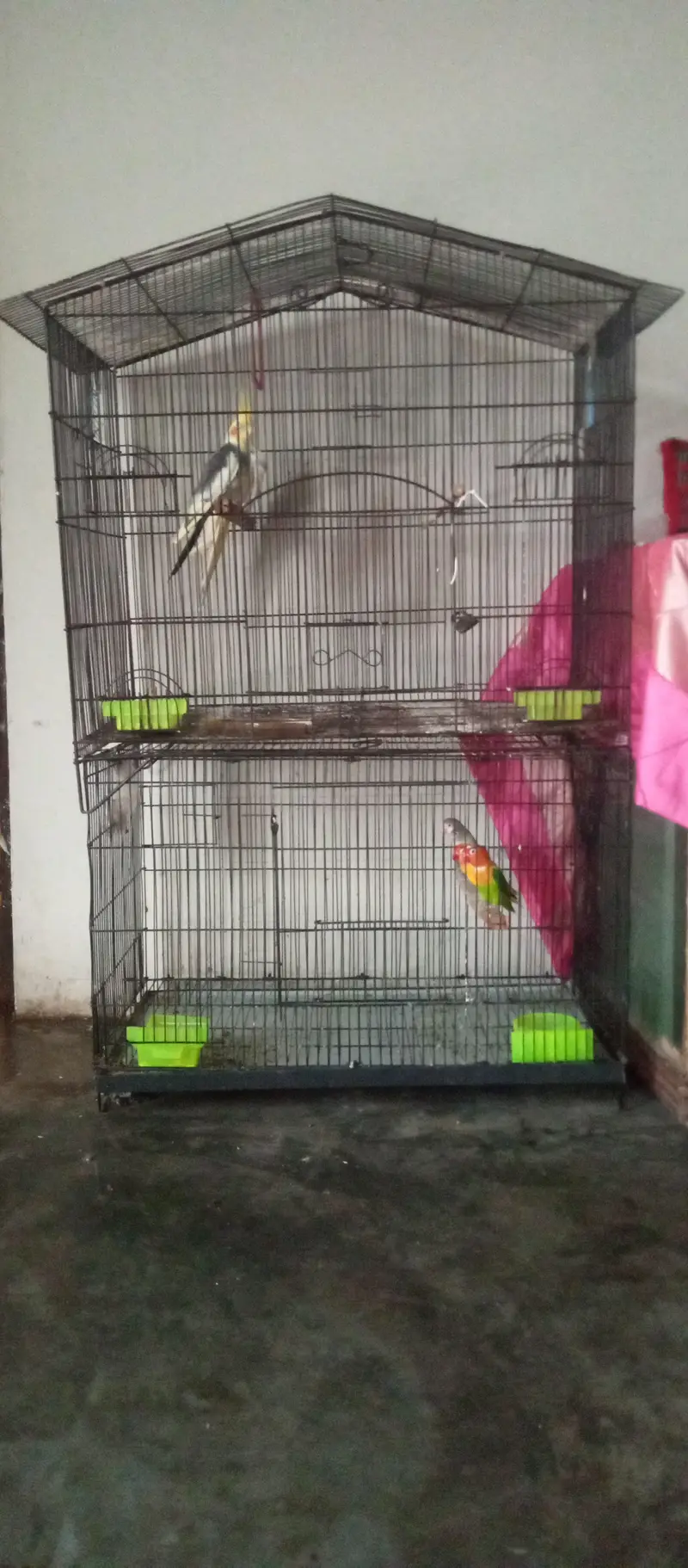 only cage for sale — photo 2