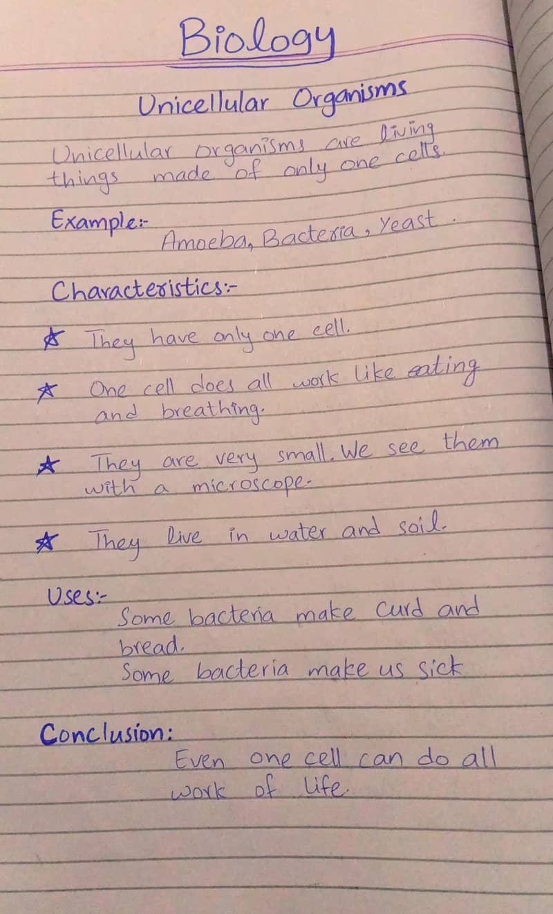 Assignment writer 2