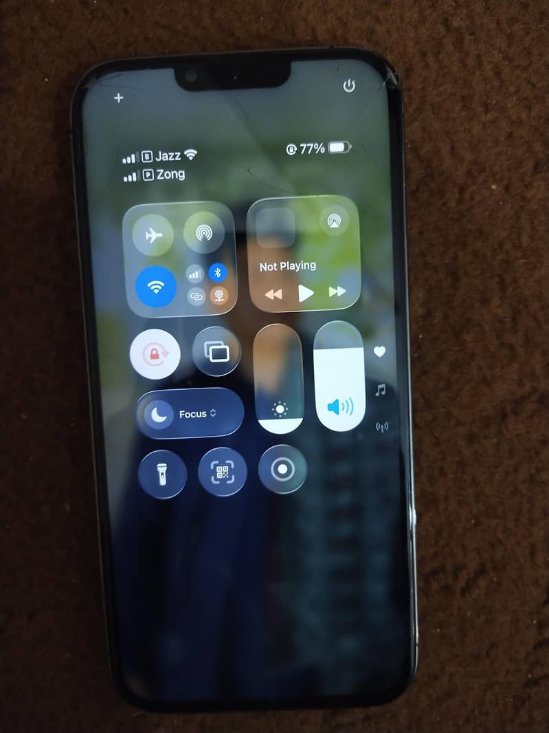 Apple iPhone 13 Pro Max 1