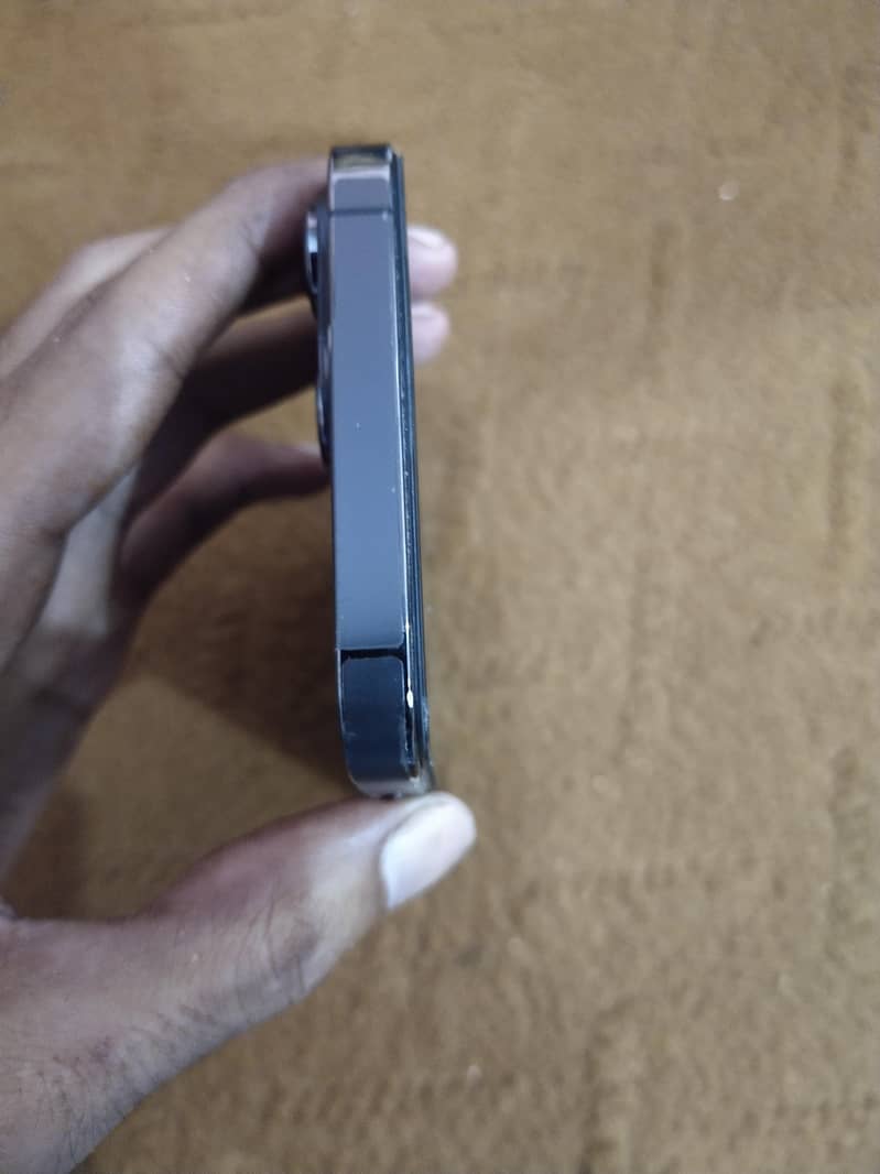 Apple iPhone 13 Pro Max 2