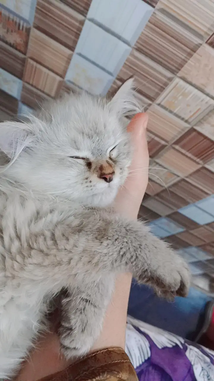 SNOWY X SASHA — photo 7