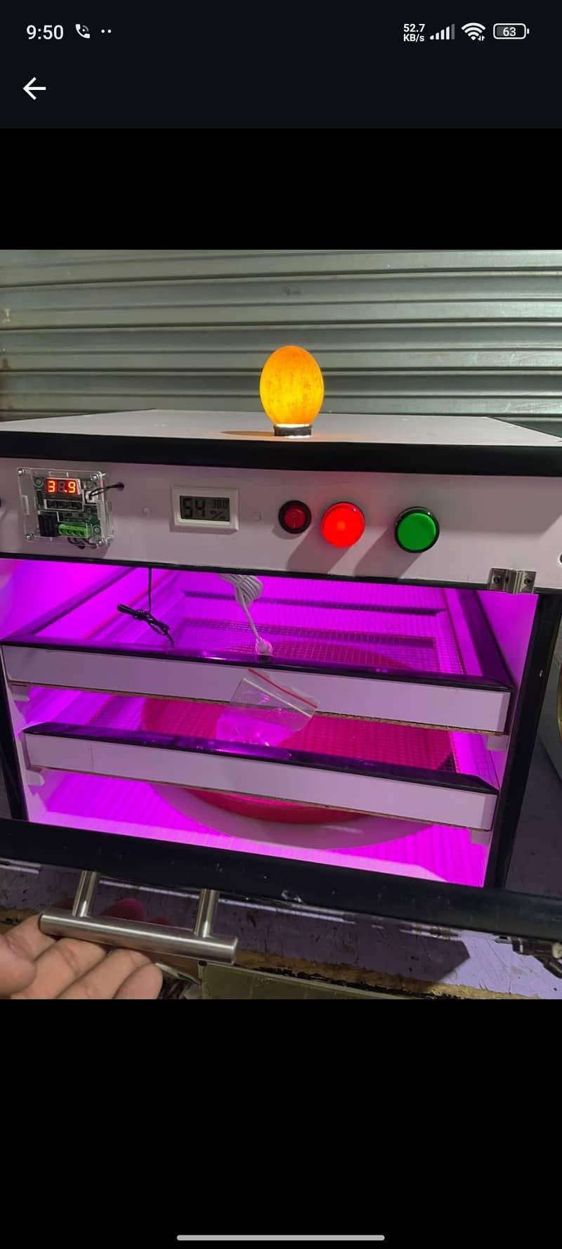 incubator 1