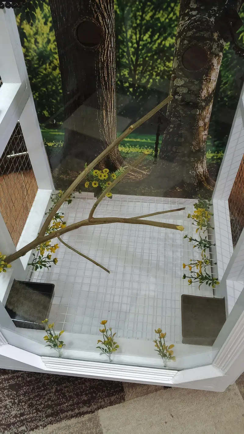 PREMIUM BIRD CAGE — photo 4