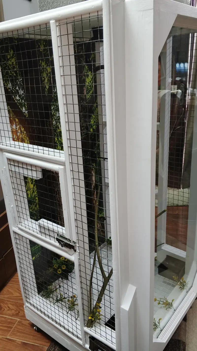 PREMIUM BIRD CAGE — photo 5