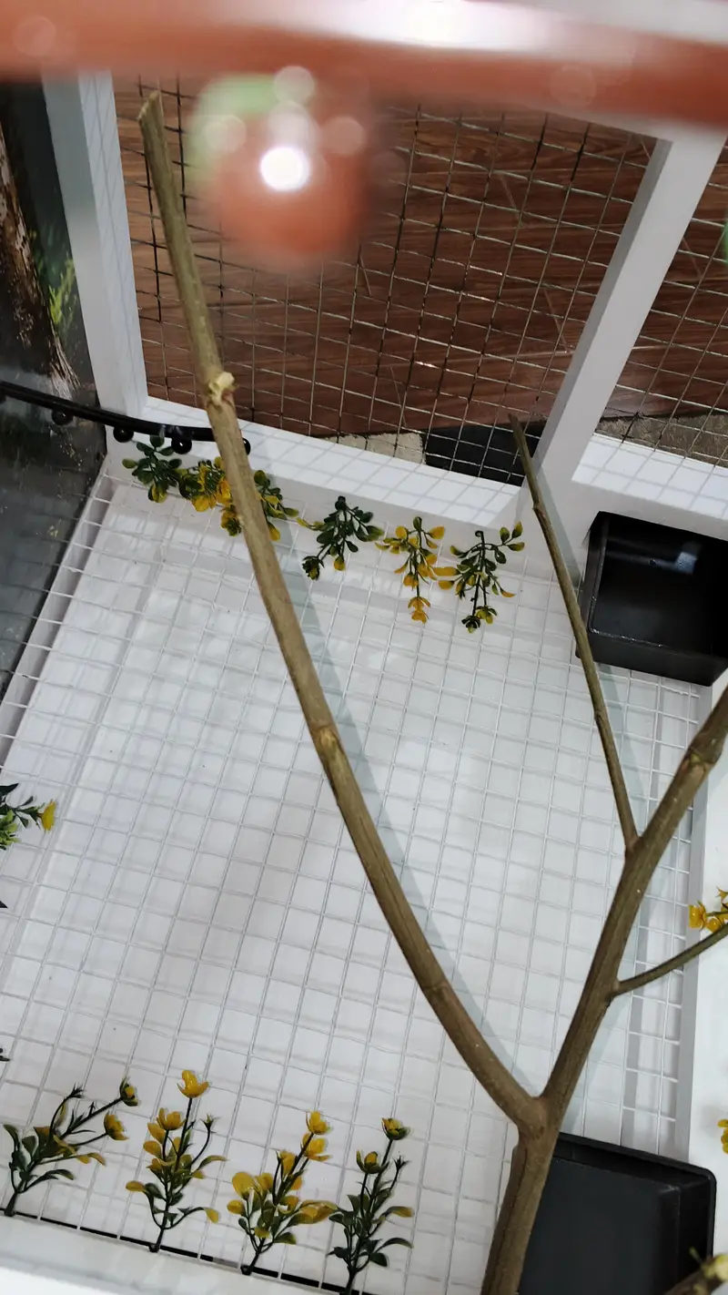 PREMIUM BIRD CAGE — photo 7