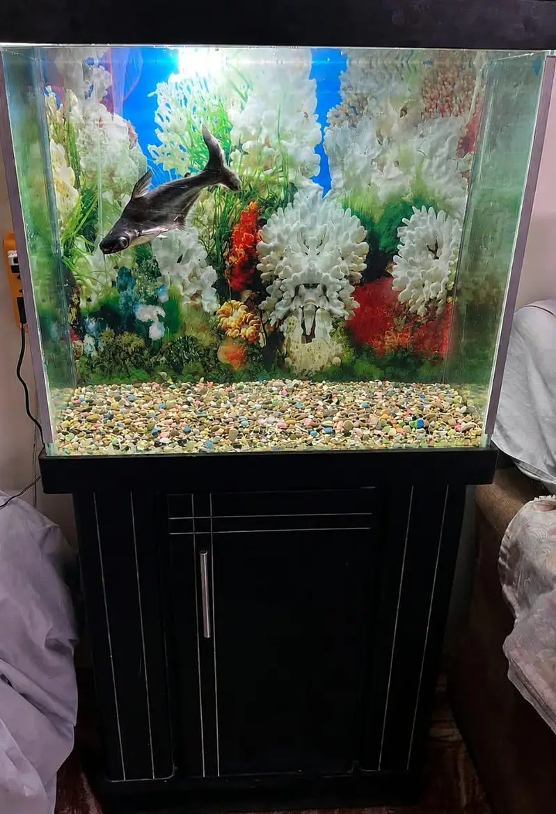 Argent Sale — photo 4