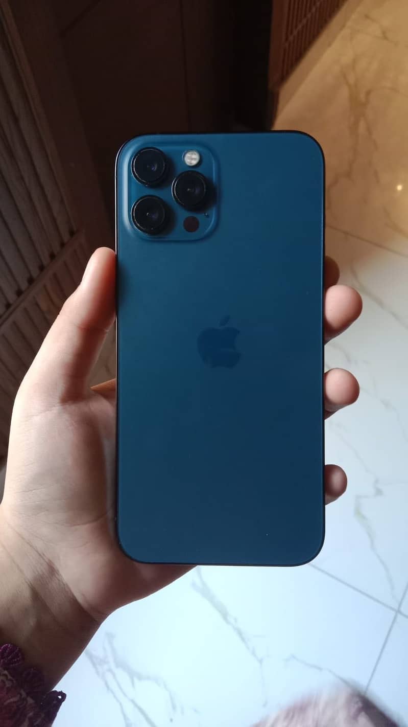 Apple iPhone 13 Pro Max 0