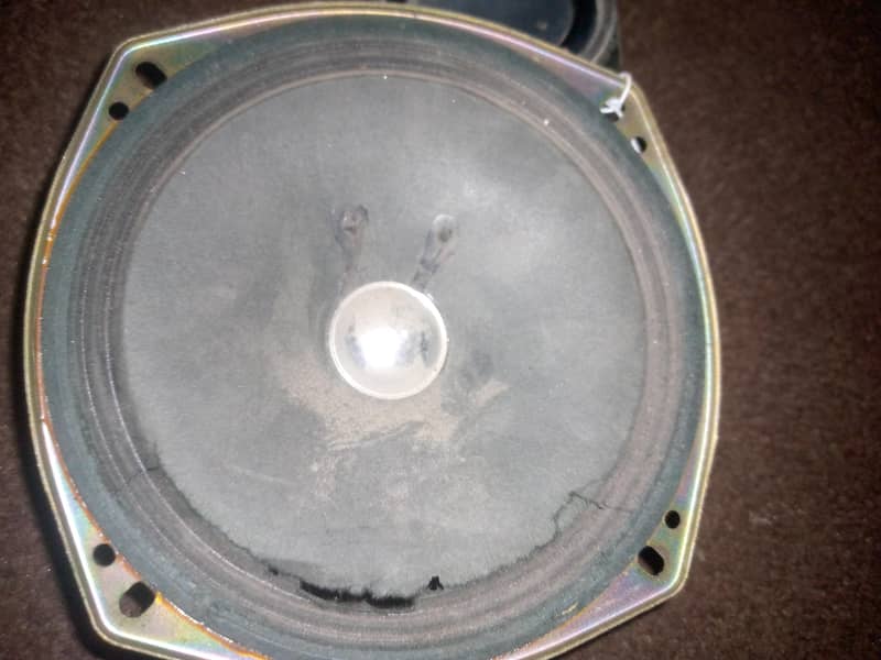 speaker 6