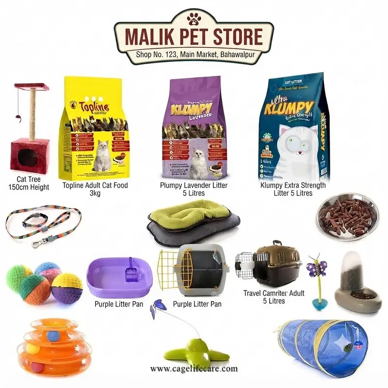 cat Accesries cat food Availble home dilivery