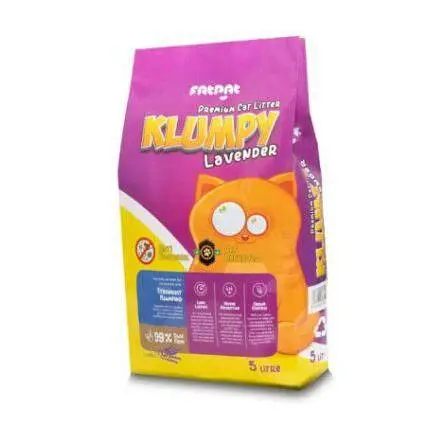 cat Accesries cat food Availble home dilivery — photo 2