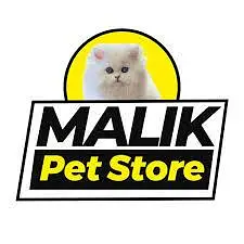 cat Accesries cat food Availble home dilivery — photo 5
