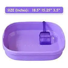 cat Accesries cat food Availble home dilivery — photo 6