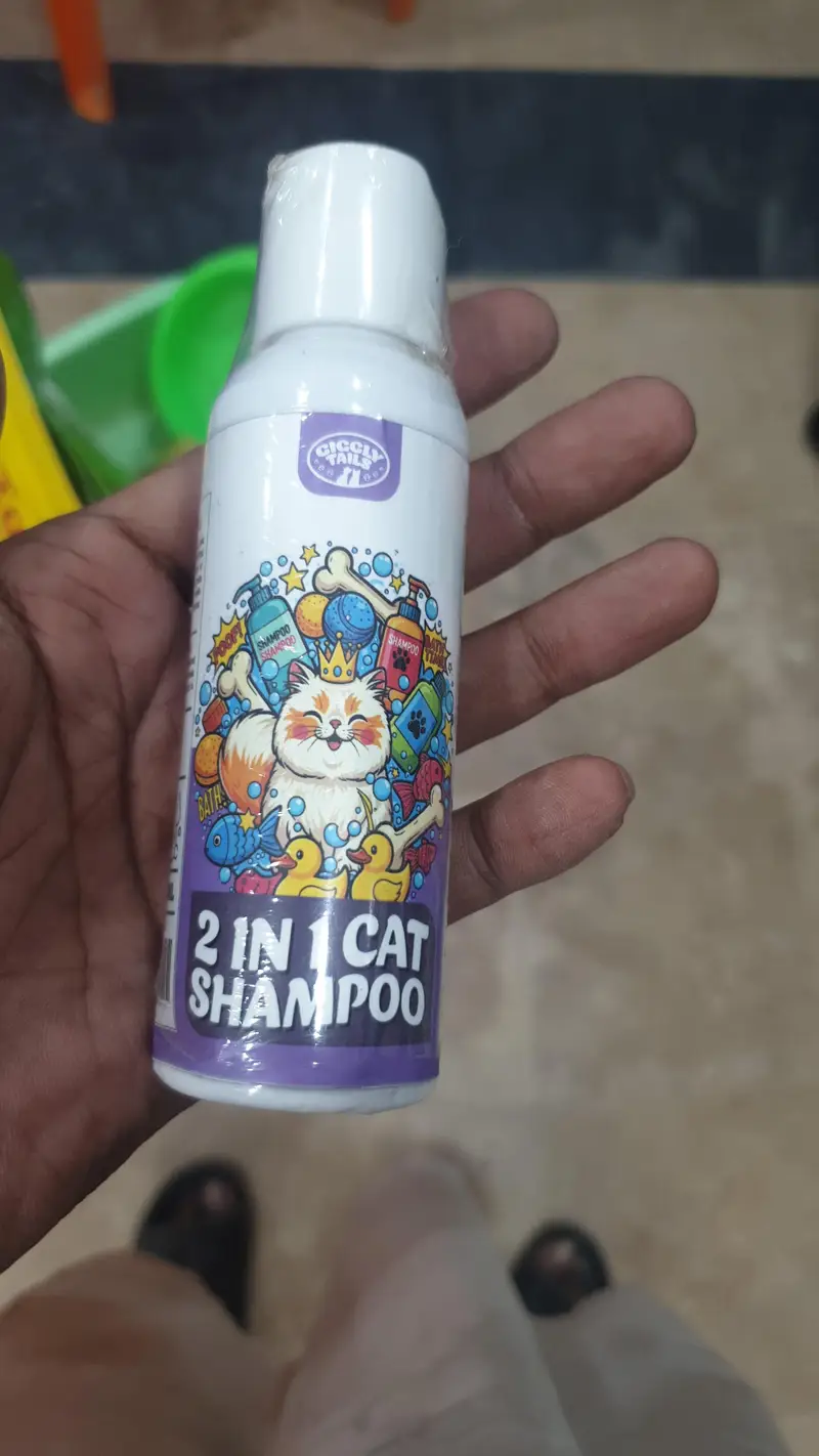 cat Accesries cat food Availble home dilivery — photo 7