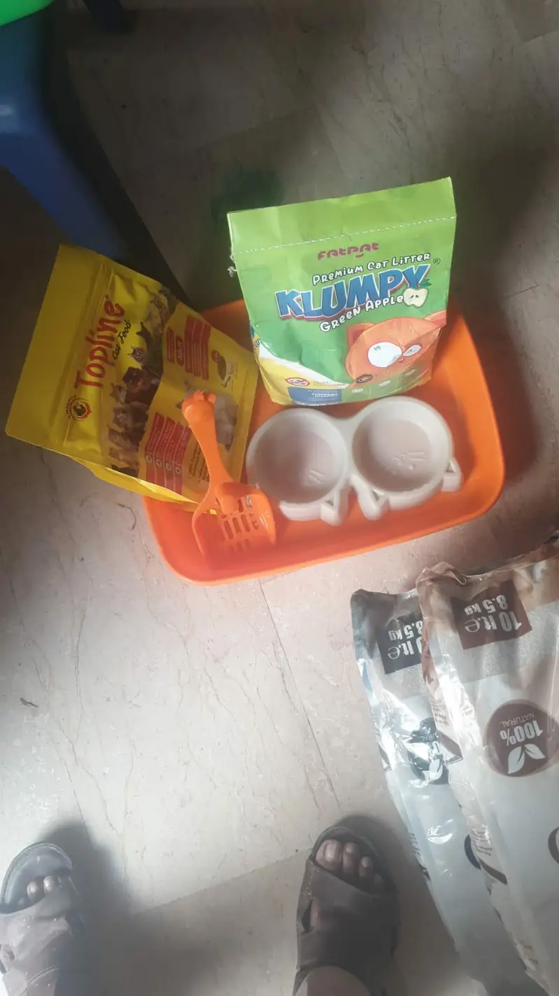 cat Accesries cat food Availble home dilivery — photo 10