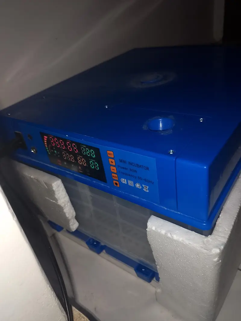 Automatic incubator — photo 3