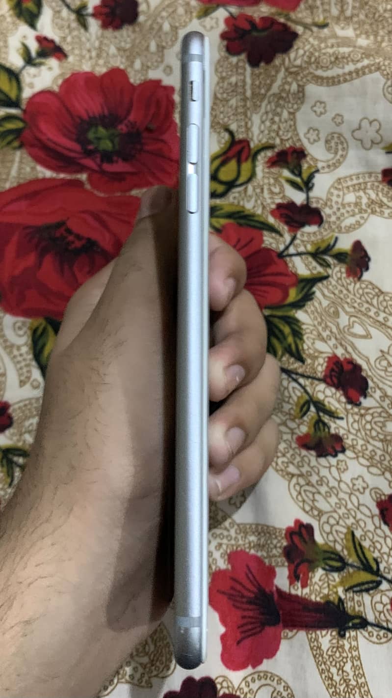 Apple iPhone 6Plus 1