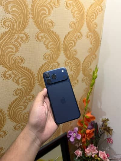 Apple iPhone 17 Pro Max non pta