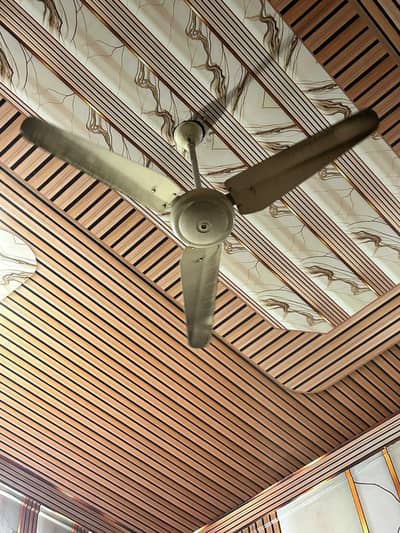 ceiling Fan