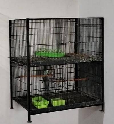 cages far sale