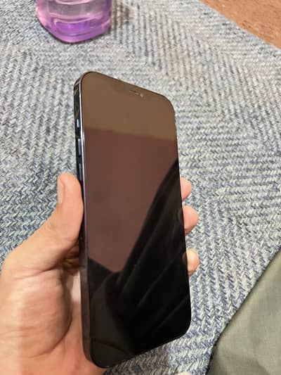 Apple iPhone 12 Pro Max