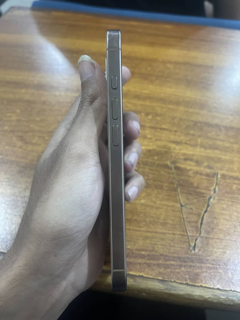 Apple iPhone 16 Pro 1