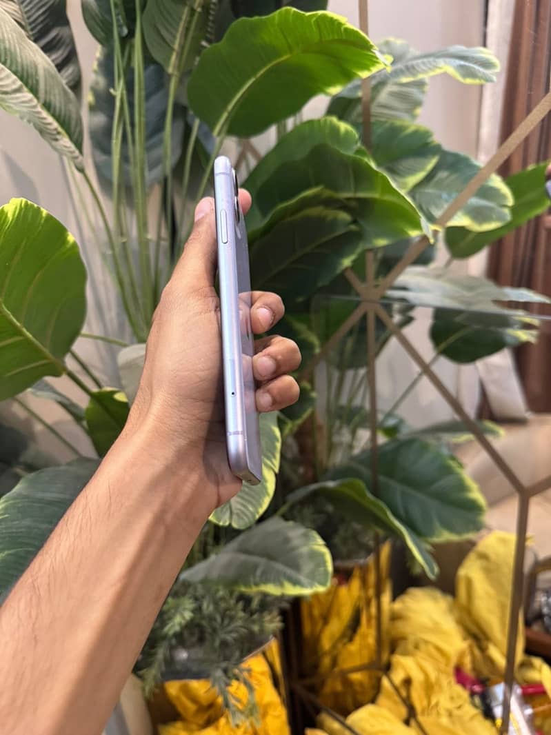Apple iPhone 11 2